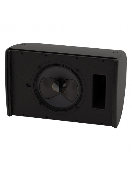 Diffusore compatto full range. 1x10 coassiale dispersione differenziale.