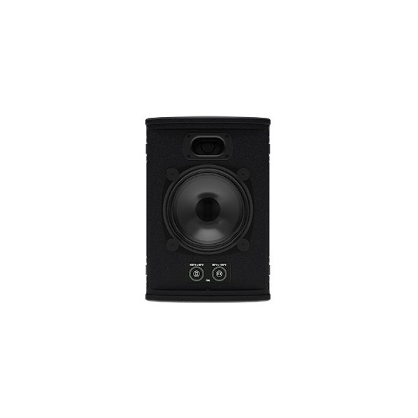 Diffusore ultra compatto due vie passivo, driver coassiale 6" LF + 1.4" HF, FlexPoint