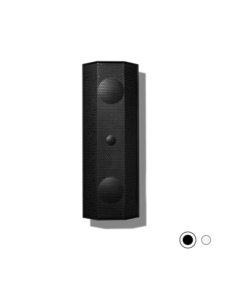 IO1 diffusore 2 vie da parete passivo, 2x3" 4 Ohm, IP66