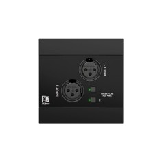 Pannello di ingresso audio, networked - 2 x XLR + Bluetooth integrato, mixing & DSP, 4 canali Dante/