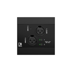 Pannello di ingresso audio, networked - 2 x XLR + 3.5 mm jack + Bluetooth integrato, mixing & DSP, 4