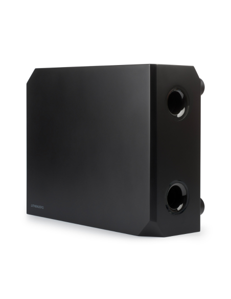 WiSa Active Sub - Subwoofer con driver da 8", amplificatore e Wi-Fi integrati, compatibile AirPlay